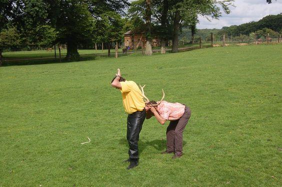 DSC_0125 [50%] [50%].JPG